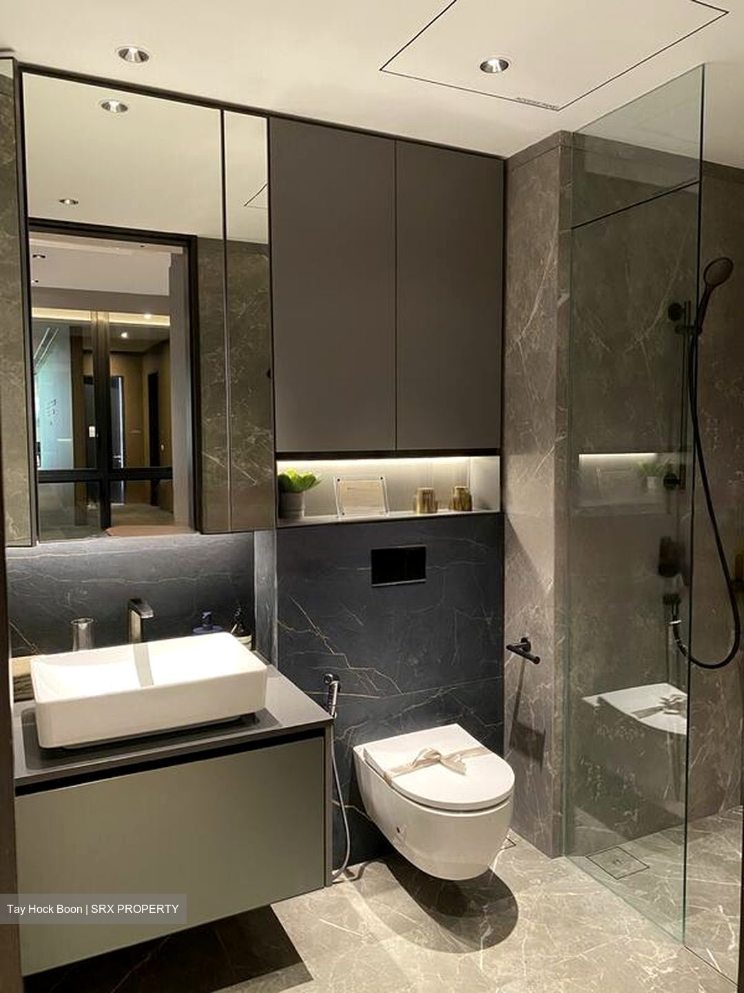 Irwell Hill Residences (D9), Apartment #465937741